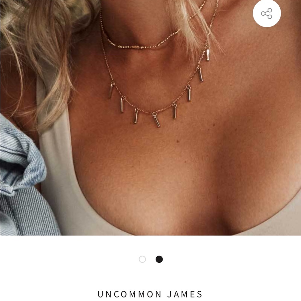 Uncommon James Dutchess necklace